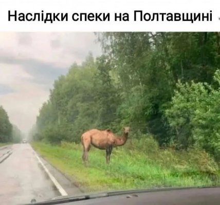 Мемы о жаре