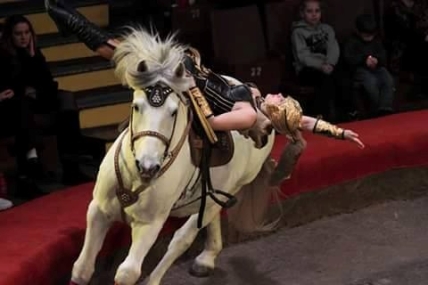 Куда пойти с ребенком на выходных 14 и 15 ноября: гопак пати