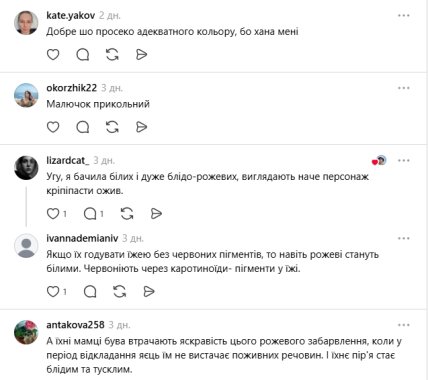 Коментарі користувачів