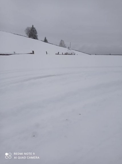 Снежный покров на Буковине