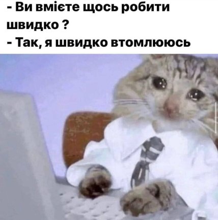 Мем котик плачет я быстро устаю