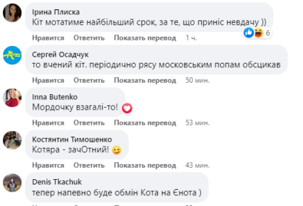 кот, СБУ, реакция