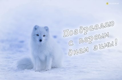 З першим днем зими, вітання, листівки, картинки