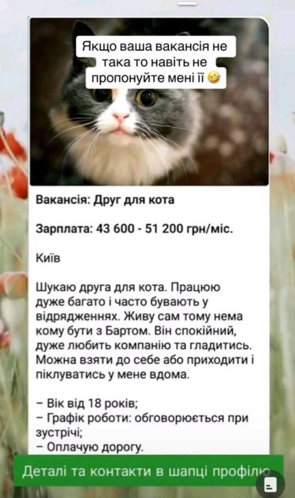 Мем робота друг для кота