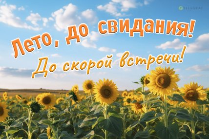 лето до свидания открытка до скорой встречи