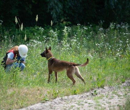 статист с собакой