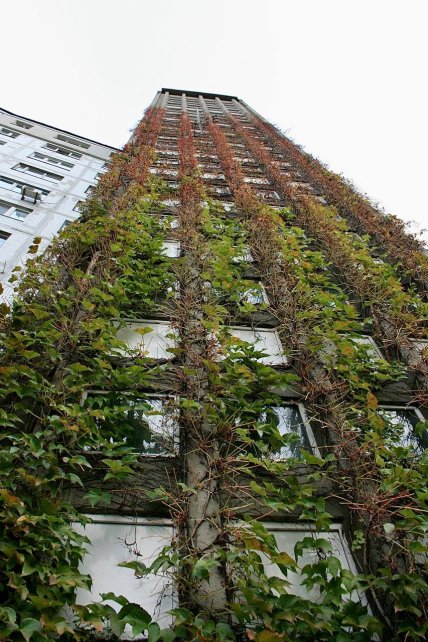 Киевский дом "полукружка"