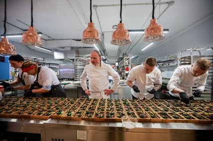 Корені, Буковель, Тавель