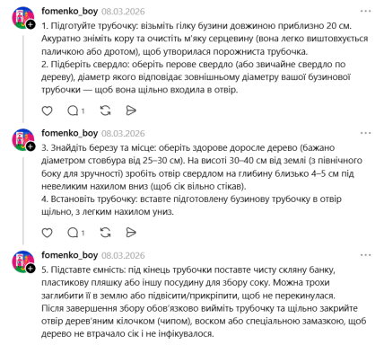 Коли і як збирати березовий сік