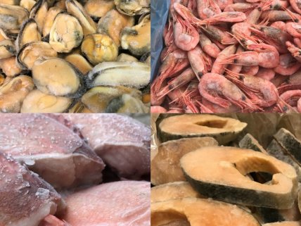 М'ясо, птиця, риба та морепродукти