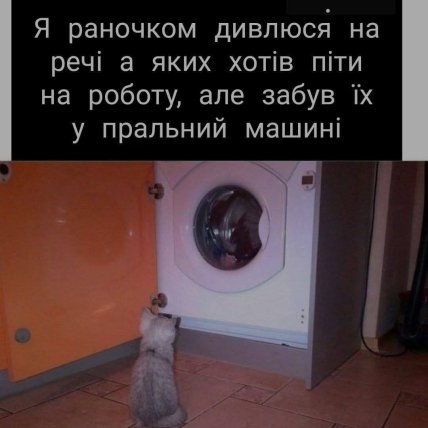 Мем з котом про забув речі у пральній машині