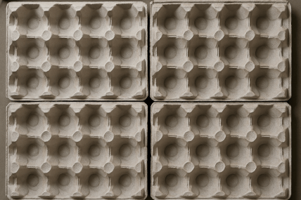 Яичные лотки