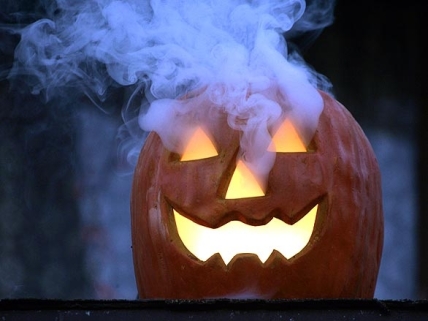 Куда пойти с ребенком на выходных 31 октября и 1 ноября: клуб "Веселая наука"