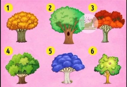 Психологічний тест з картинки