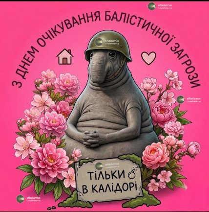 Мем о баллистике из Ирана