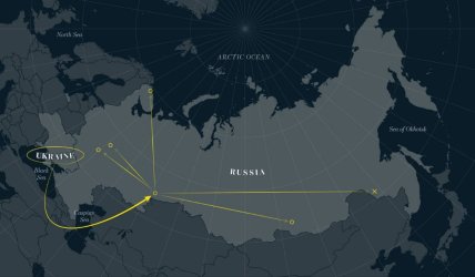 Как проходила операция "Паутина"