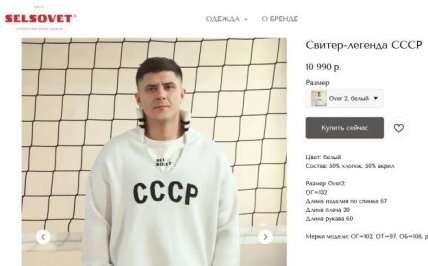 Светр, що одяг Лавров схожий на цей