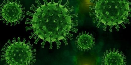 Коронавирус