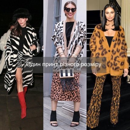 Як стильно поєднувати анімалістичний принт