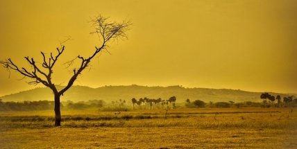 2020 стал самым теплым за предыдущее столетие