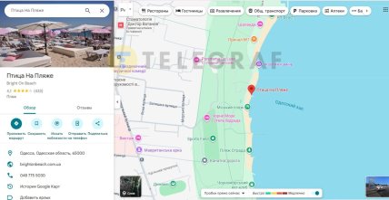 Розовый пляж "Птица на пляже"