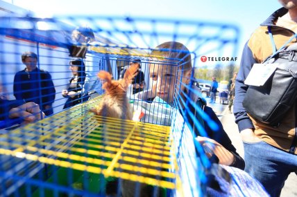 Центр в Запорожье для внутренне перемещенных лиц