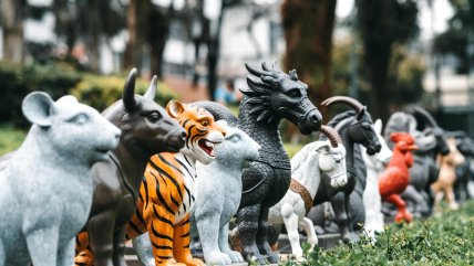 китайский гороскоп