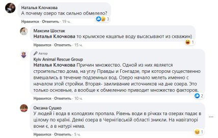 Черепахи Киев