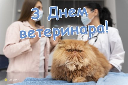 день ветеринара привітання листівки і картинки