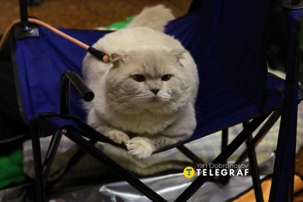 Люди прячутся в метро от российской атаки 7 октября