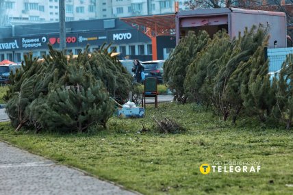 Елки на улицах Одессы