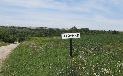 Село Зайчики