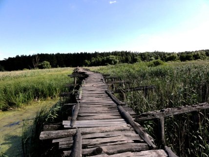 Cамый длинный деревянный мост в Украине - фото