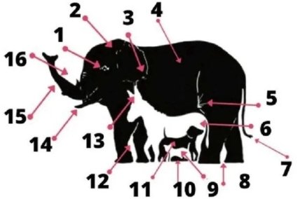 Психологический тест