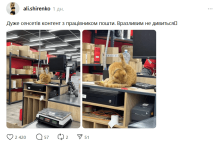 Кіт проводить гігієнічні процедури - скріншот допису з фото