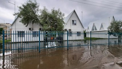 коблево вода в домах