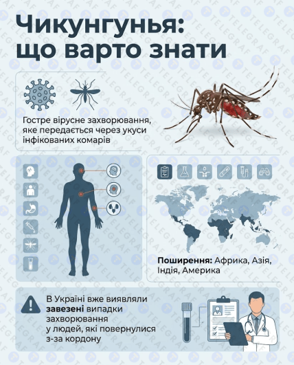 Чекунгунья
