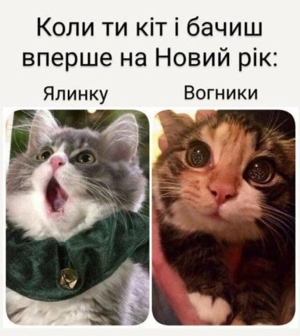 новый год 2026 смешные приколы