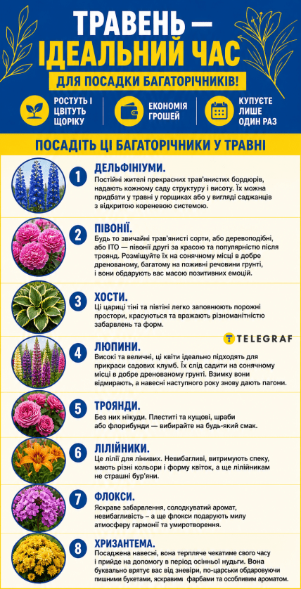 Что посадить в мае в Украине, какие цветы купить