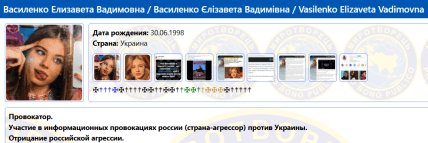 лиза василенко миротворец