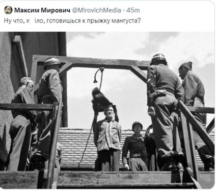 Скриншот з мемом про путіна