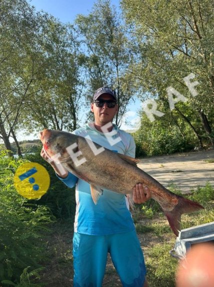 Толстолобика поймали в Днепре