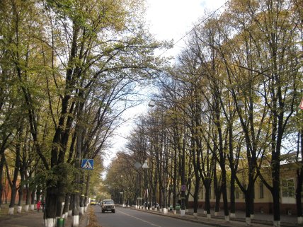 Липова алея на Петропавлівській вулиці в Сумах