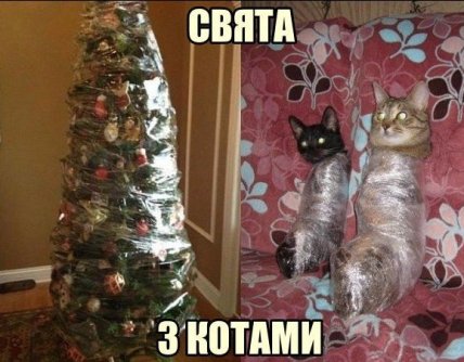 коты и елки приколы
