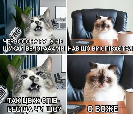 Мем кот поет червона рута на собеседовании