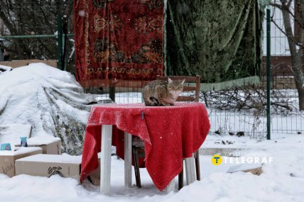 Первый снег в Харькове 2025