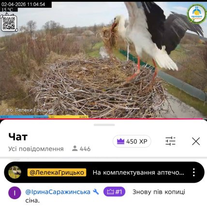 лелека мостить гніздо