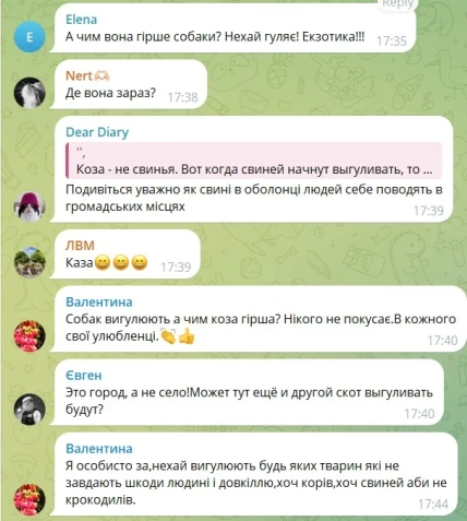 Учасники обговорення порівняли козу зі звичними домашніми улюбленцями