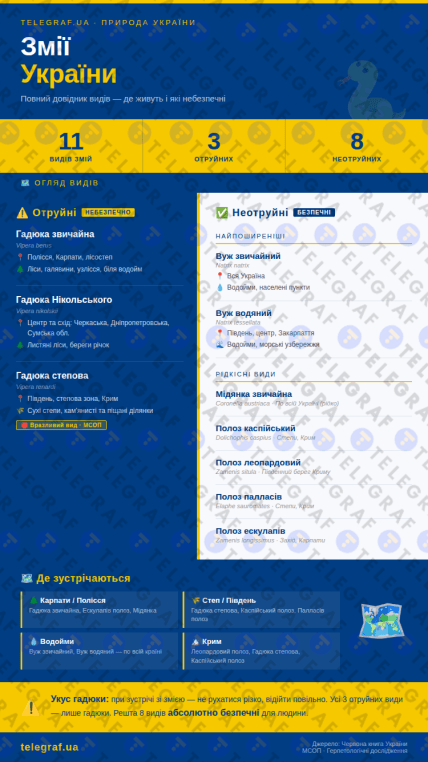 Какие есть змеи в Украине