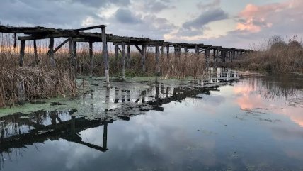 Міст через річку Удай